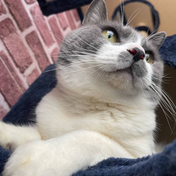 178d054a c0ca 4926 b876 5185c6e70d3a 1712802166477