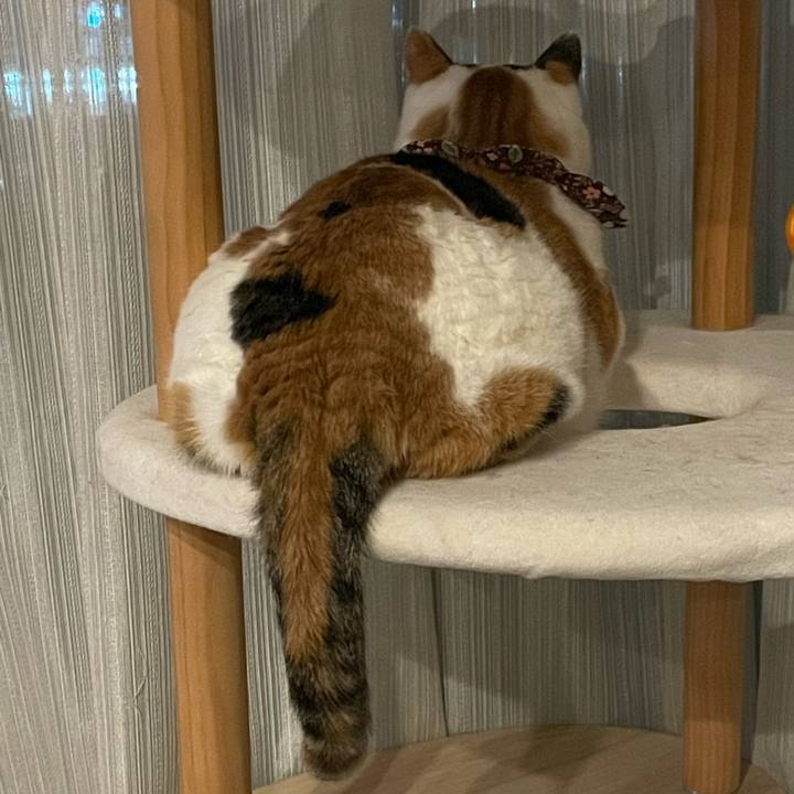 178d8f12 3881 4783 81e5 44966d585650 1738159756152