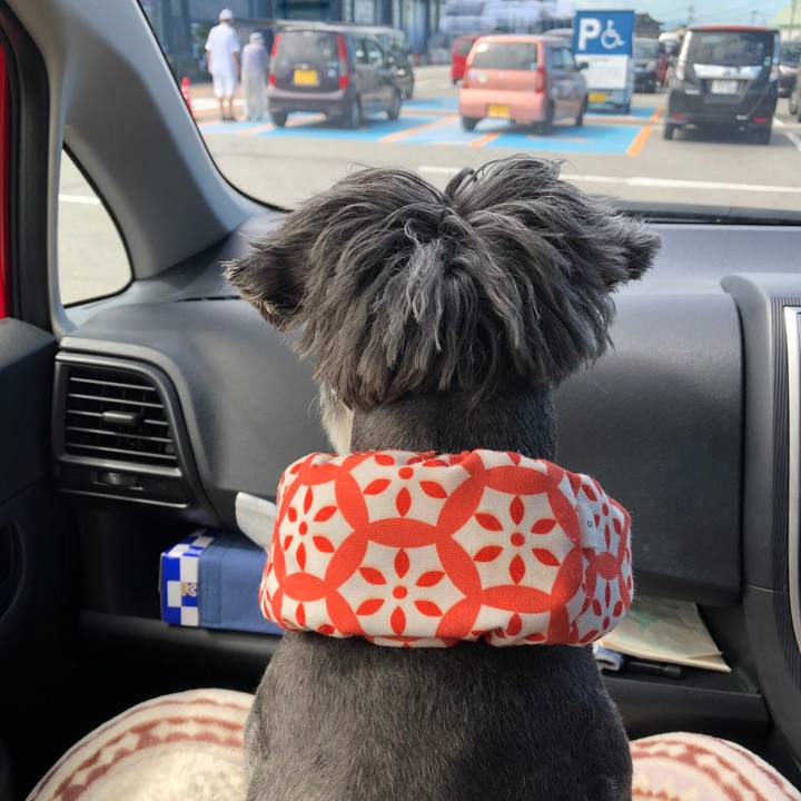 178d9e58 7e9d 41da 85de 798318207fa7 1660397924024