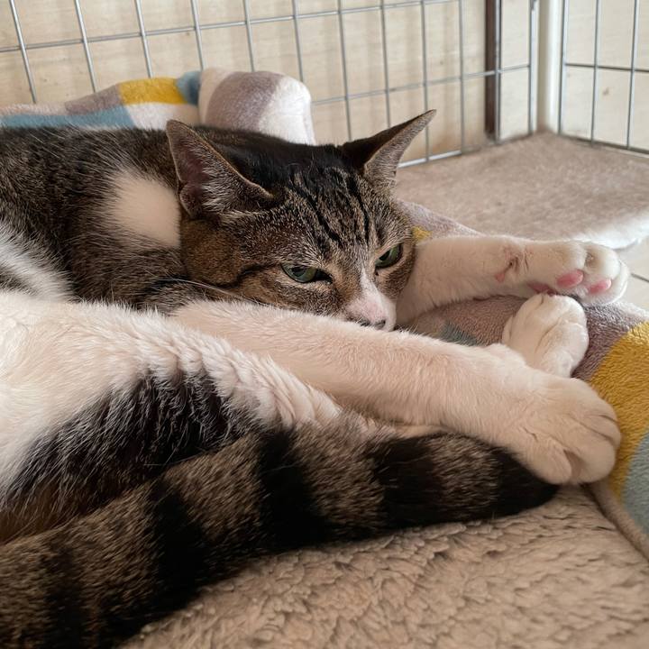 178da00a b656 4d46 a6cd 99f6f039a394 1628120933662