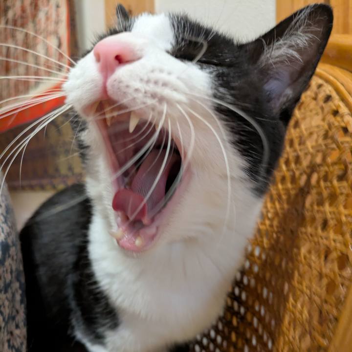 178db046 2fe6 440a 90f5 a640a37c5d5f 1762515734521