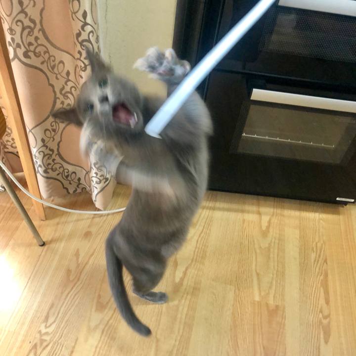 178db8b8 270c 407f a3f2 373df0f49a28 1621643407005