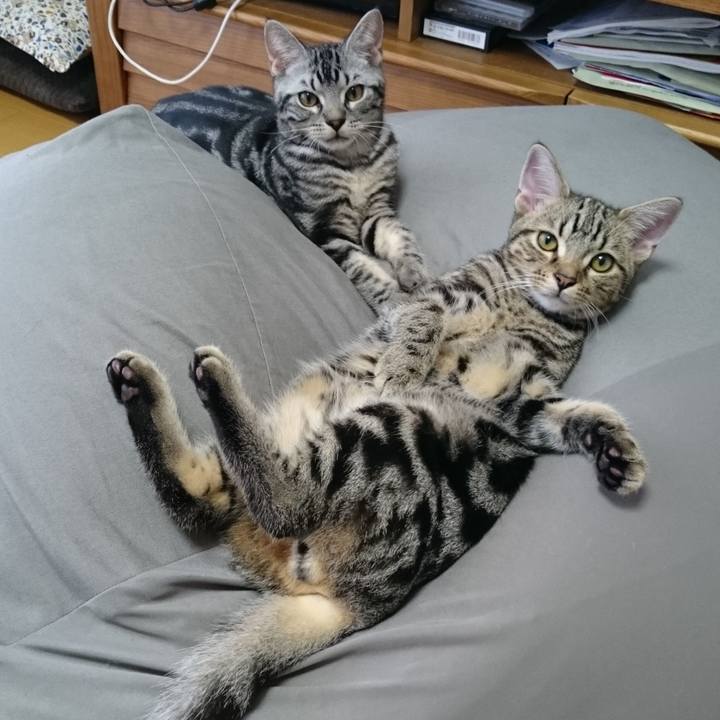 178e3364 38b1 4f62 975d 009ff20f0806 1686622790920