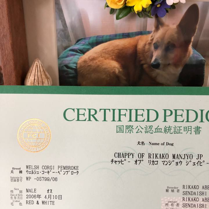 178e3bae 628f 482b 8726 f10624254cbb 1534733176931