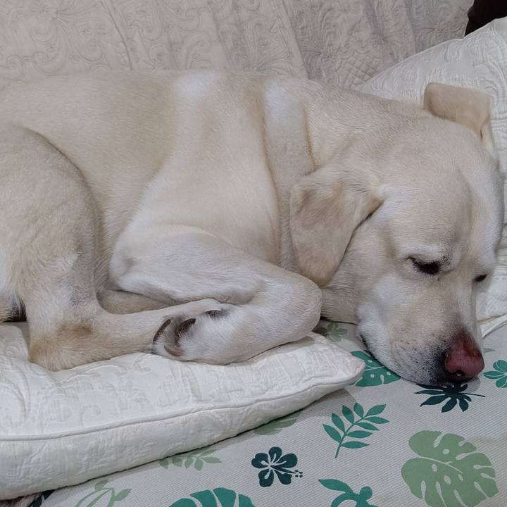 178e6498 10d3 4582 bd21 79155e3de38e 1636624082720