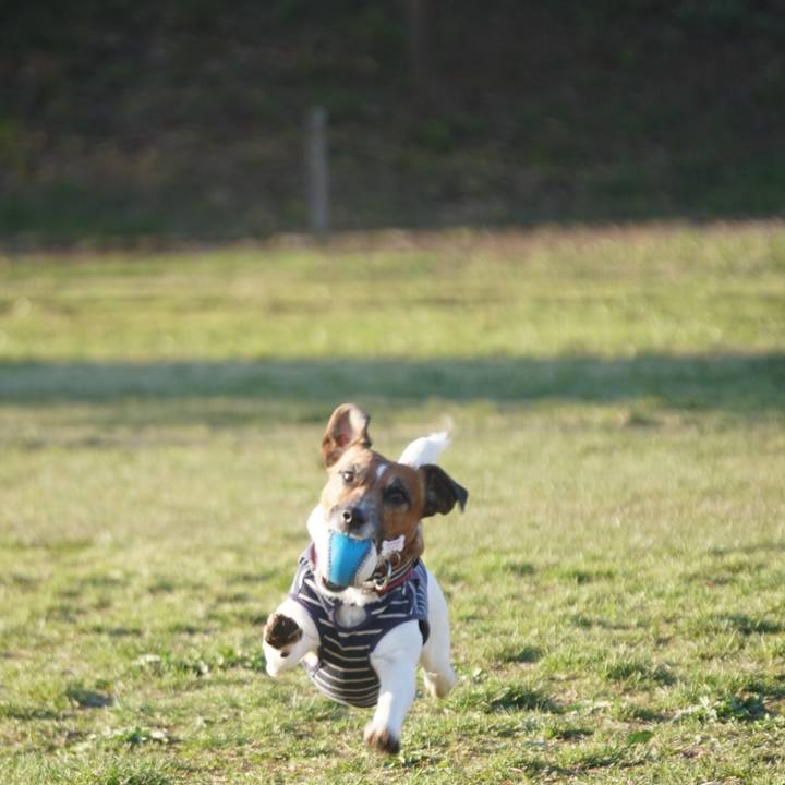 178e7106 d471 4cd6 8c6d 2f0428568373 1554763960837