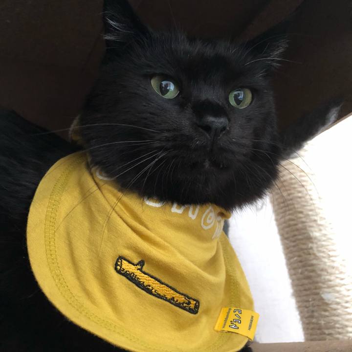 178e9450 fbc3 4fe6 8fcc cb29cef2350c 1592099594568