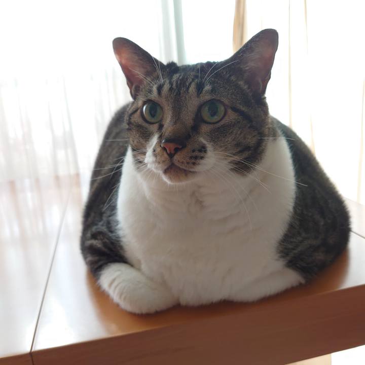 178ec214 7688 4003 a05a 2483b2349cdd 1597130838698