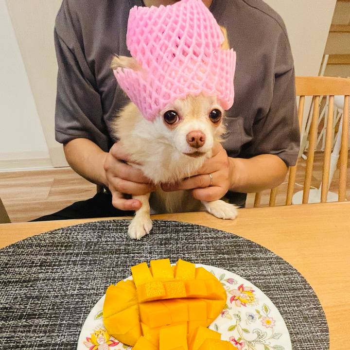 178ee0aa 1bc6 405f a005 b0f3a868ff76 1720441127391