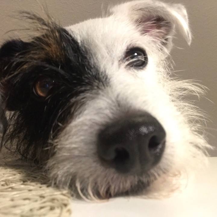 178f49fc 12a6 4b02 8372 4edc7de9c4be 1529665191429