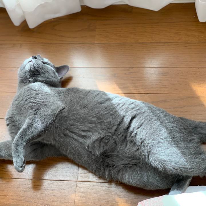 178f6770 9400 4f3b 8098 c66307339ffe 1584750548350