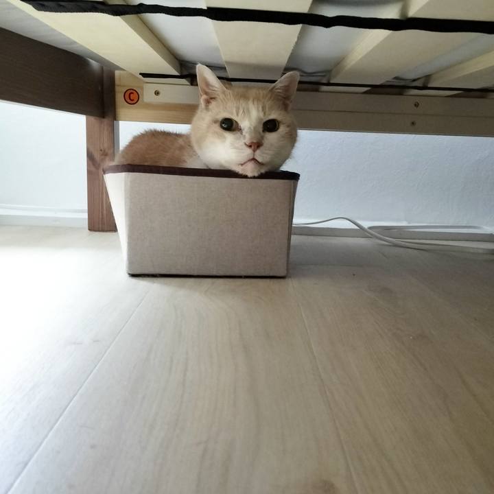 178f913d b284 437f ba94 c496ee9e13c3 1696460066965