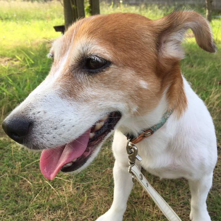 178f954a c616 407b b412 2d16164424cf 1533472551248