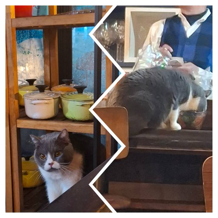 178fa0e7 ce31 4ae4 bf7d 99d1c5d4622e 1740832962239