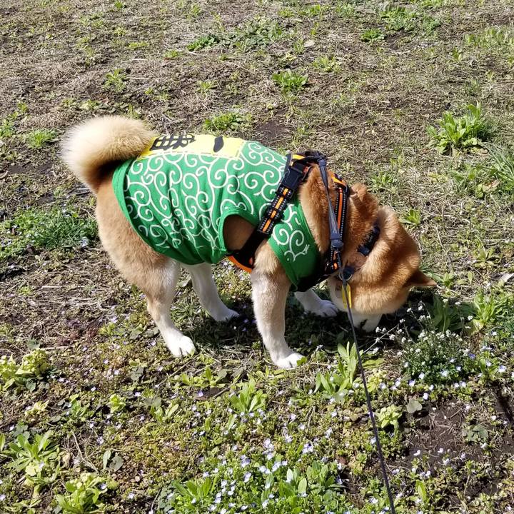 178fa758 66e0 45a9 97f4 85134f6690bd 1585646205972