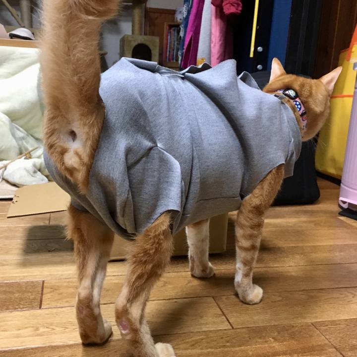 178fa9d3 2669 45bb b595 f45e25446ea7 1522507376369