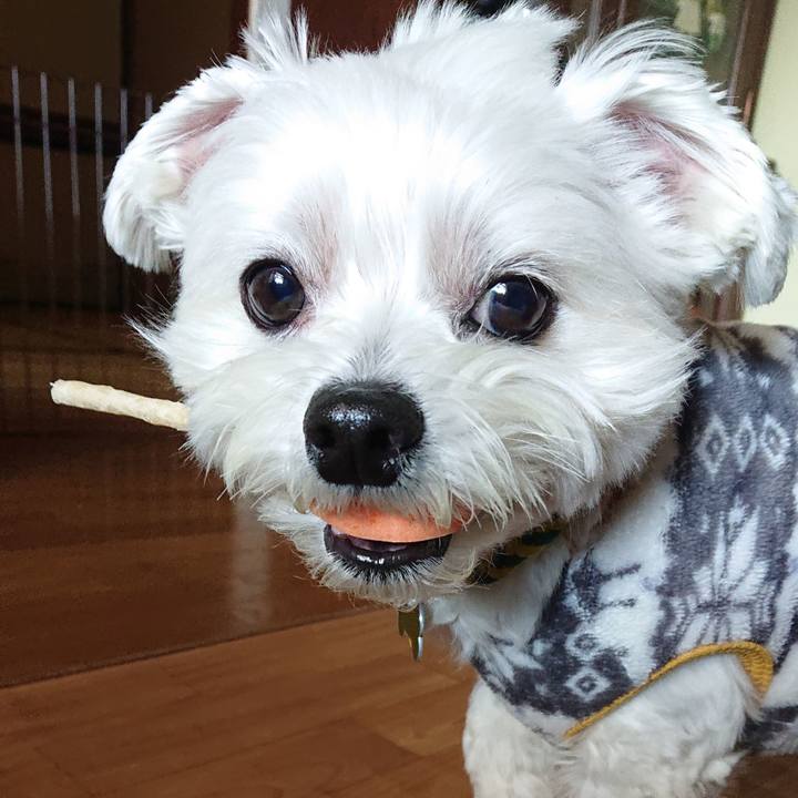 178fe184 8f58 4e3c aae5 5b35f1f1e6ad 1582265462115