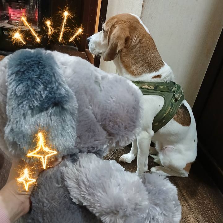 1790049c 6a06 4579 a4df 50a2aaabd2e6 1768563319394