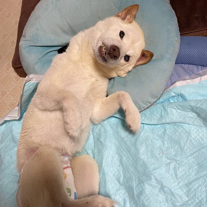 17905109 ee8e 4a10 95f2 0fa84097c693 1666522177008