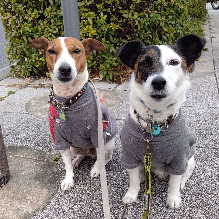 179058ae c22b 4b84 acc9 645d09368817 1677191331850