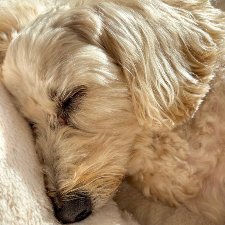 17905dee 2880 4432 aca8 2232bcc7da5f 1764376876670