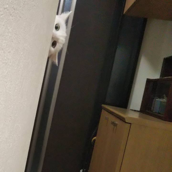 179095dd 0bc7 42e7 b83e a599a79cd368 1677796205241