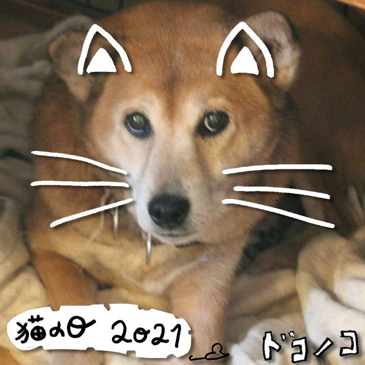 1790a989 394c 4e72 84c2 f5d2c0e2cd99 1613979766297