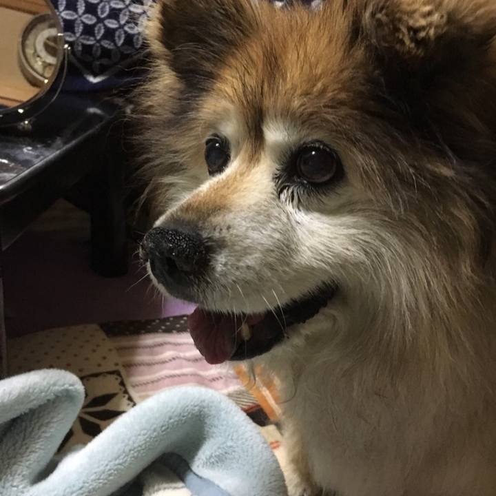 1790bb5a 487a 41f8 a548 9aa0d20bf026 1596006775343