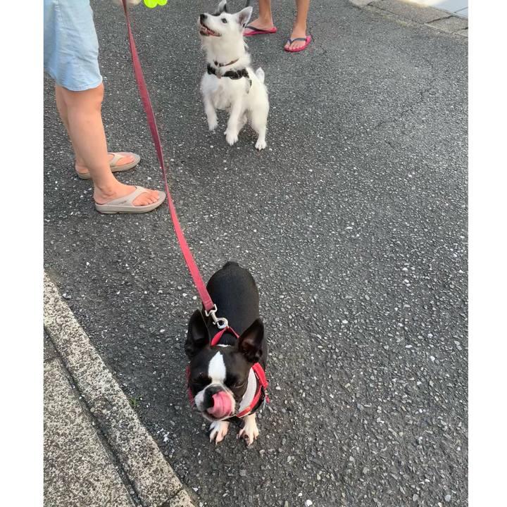 1790dad5 515c 409a b0e5 8652836c1134 1720566280518