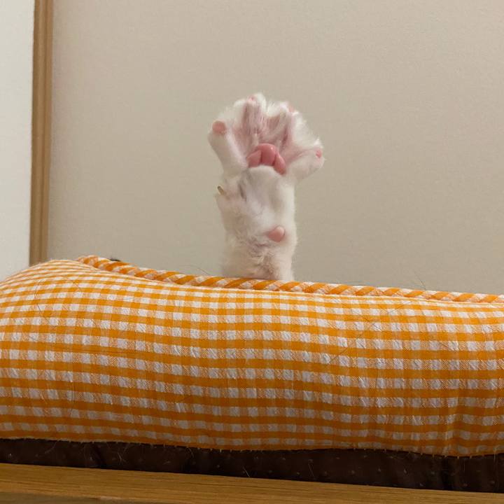 1790fca8 2987 491f bb64 0d8d6b70f845 1666133088883