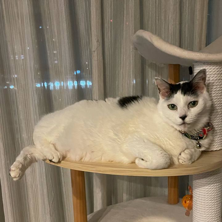 17911c30 340b 48f4 bbe5 63a5dc898c46 1745679554190