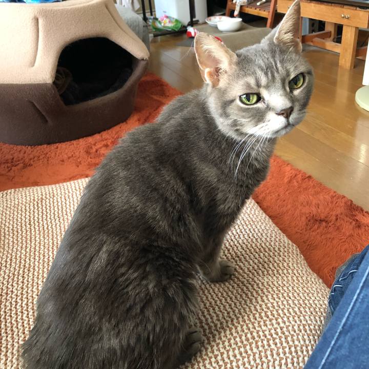 179122dc 3de8 4f07 a7eb 3200c5a0f22d 1560688269772