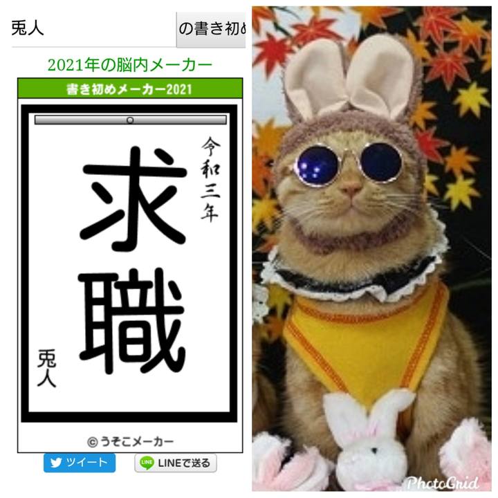 1791853a ed60 43a4 ab11 d879adb257fa 1609739942702