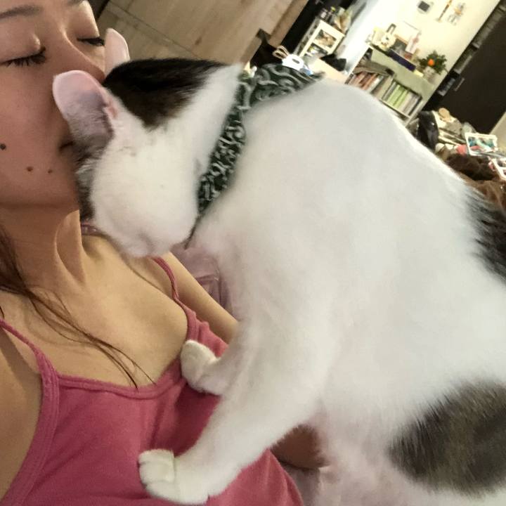 1791890a 0961 4e70 afc3 ec86f79f9920 1533901304556