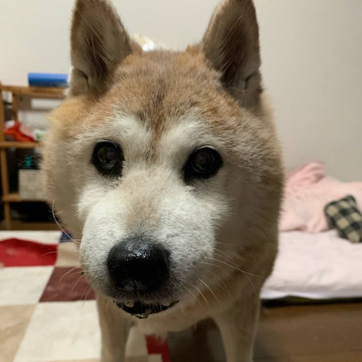 1791a74c 0a11 4e63 a32d e32eb8d0a30f 1655467191592