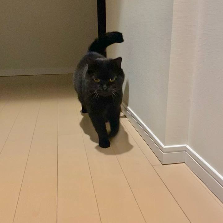 1791a870 d78a 4e35 84a8 80dc7e2c4ead 1732712678085