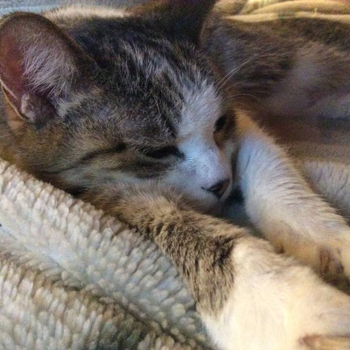 1791da46 b04c 4644 b80d 14ed4e53c29f 1772408713730