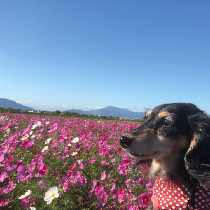 1791e1dc 7685 41a4 90f3 9256d397c1ea 1572846841987