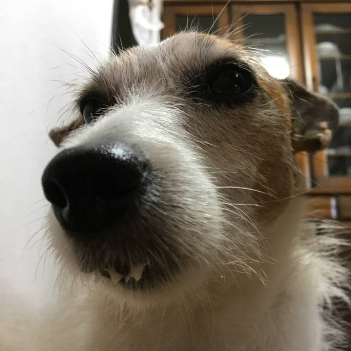 1791e233 0154 456b baad def44d7e9d95 1660087316772