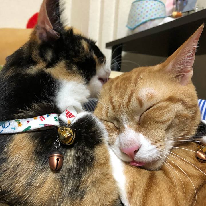 1792027a 38f9 4c97 8b3a 5e9fc16016e5 1565934529331