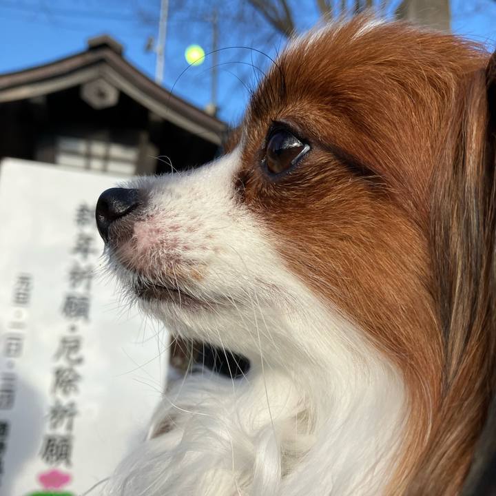 17921a18 ecaf 4821 8859 09fab5cdc7fb 1704409611467