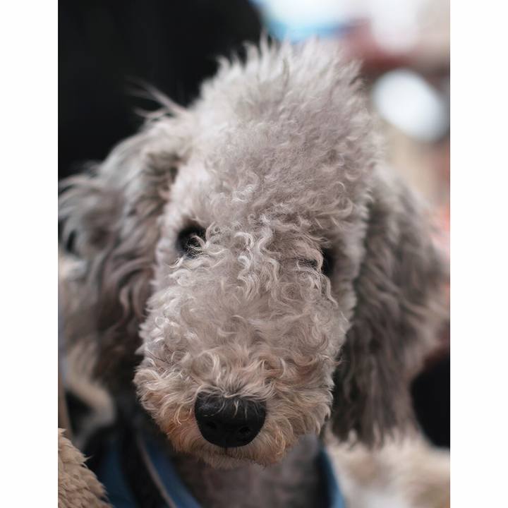 17923d3b 813d 453c 8198 c7c85eecccc9 1578205971459