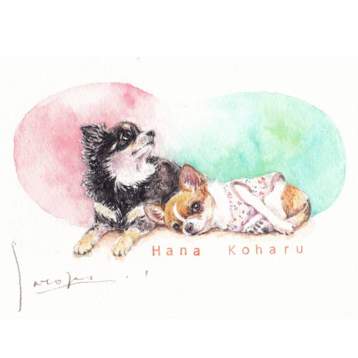 179294ff a794 4477 8009 1e9ad96304af 1595147176910