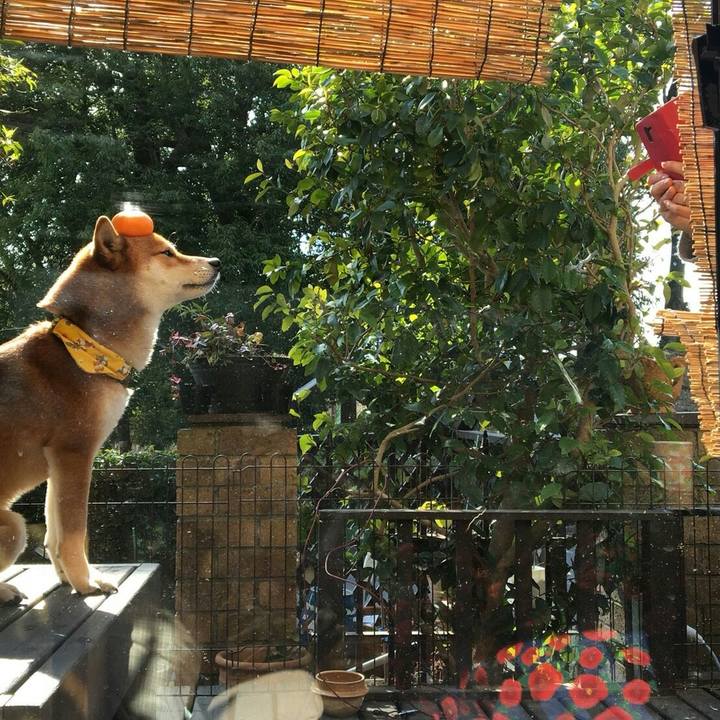 1792aaf6 bcdc 4094 8b92 2206786e7f9c 1518779841293