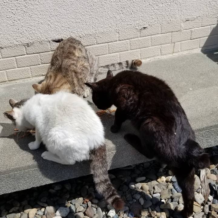 1792b78e dbf4 4e09 9d78 218538cc975a 1686576102922