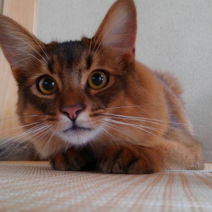 1792cf96 0d97 4a2a 9eac 7804dbdb18e9 1593397355130