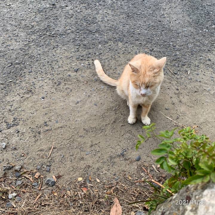 1792e0d1 e126 45ea 8fbe f197748330cb 1637390848708