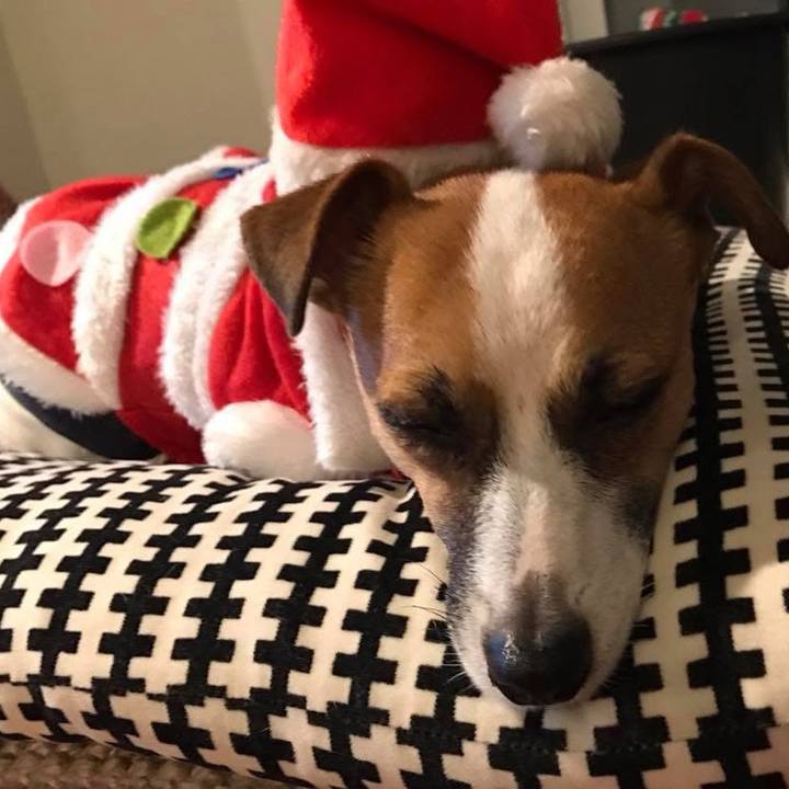 179301c4 d8cc 4925 935a a7f700c40feb 1734991512220