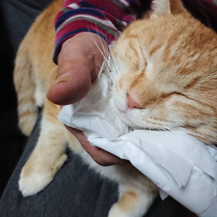 179312a8 e2ab 4a78 b3d1 e743ad4340ae 1585308974113