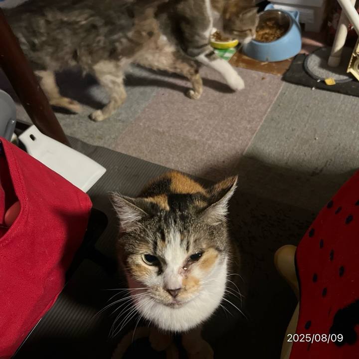 1793500f a64c 4d55 ad0e 31f4e27ac18e 1754699896908